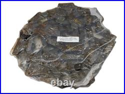 220301 (Replaces New Holland 710395) Round Baler Floor Chain for NH 850