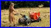 Balers-From-Around-The-World-In-Action-Video-Compilation-01-eq