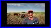 Baling-Alfalfa-Small-Square-Bales-With-A-Super-W6-And-New-Holland-320-Baler-Canola-Update-As-Well-01-cfpv