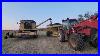 Harvest-23-Is-A-Wrap-Wheat-Oats-And-Canola-01-vru
