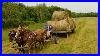 Hauling-Round-Bales-With-Draft-Horses-Farming-With-Horses-509-01-vqhg