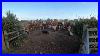 Kelpie-Earning-Her-Keep-New-Holland-Baler-01-wup