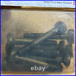 New Holland 535866 10 Pack of BOLTS Fits 165 Models of Balers 80379021