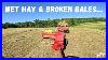 Small-Square-Baling-1st-Cut-Hay-2024-01-bl