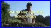 Trying-To-Bale-High-Moisture-Hay-01-hbqk